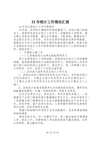 XX市统计工作情况汇报 