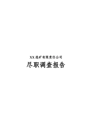 某选矿公司尽职调查报告