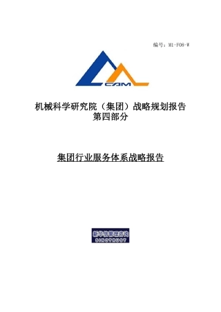 某集团行业服务体系战略报告