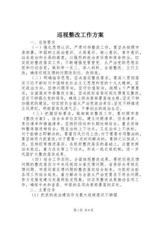 巡视整改工作方案