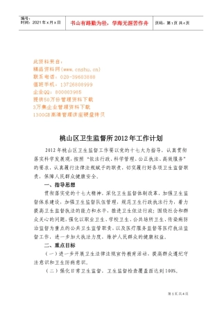 桃山区卫生监督所年度工作计划