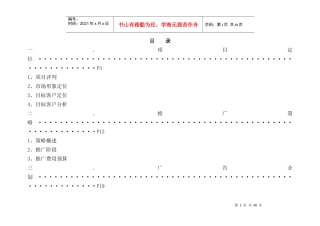 某集团项目策划全案