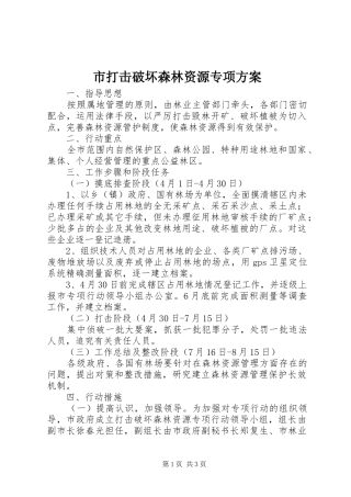 市打击破坏森林资源专项方案