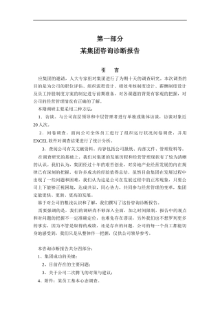 某集团咨询总报告（DOC 95页）
