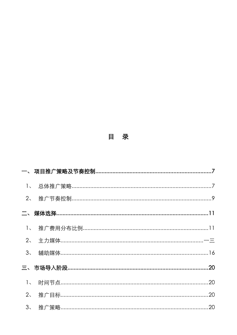 某项目推广执行方案分析_第2页