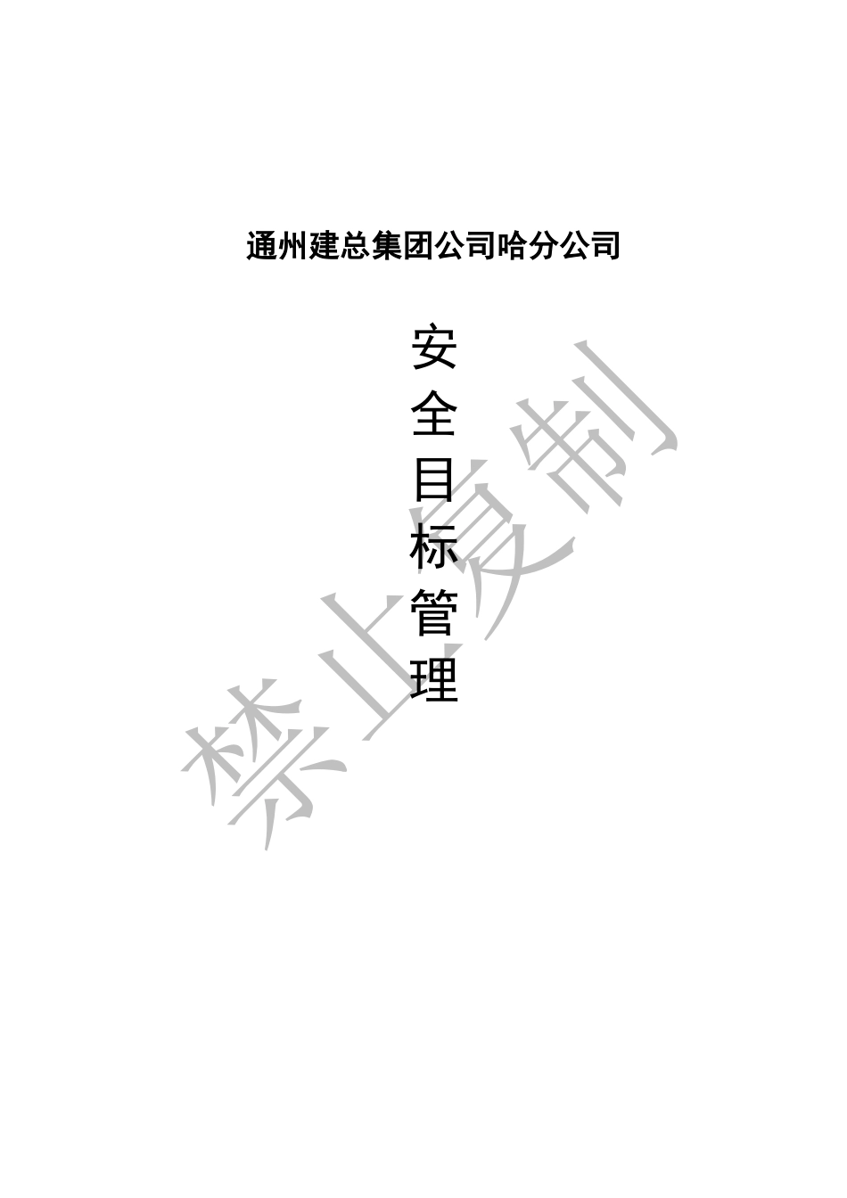 某集团安全管理目标管理课程_第3页