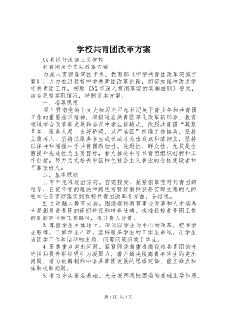 学校共青团改革方案