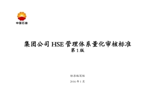 某集团公司HSE管理体系量化审核标准
