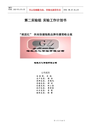 桃面红休闲保健拖鞋品牌传播策略全案