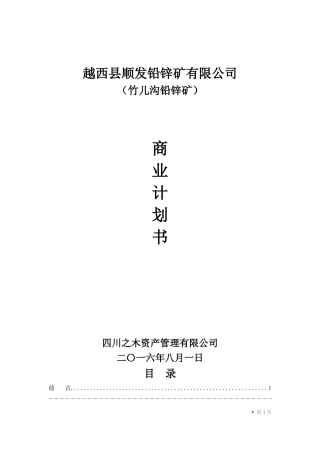 某铅锌矿有限公司商业计划书