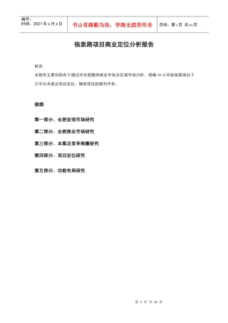 某项目商业定位分析报告