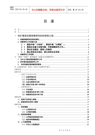 某集团发展战略的报告