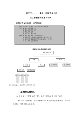 某（集团）公司薪酬福利设计方案