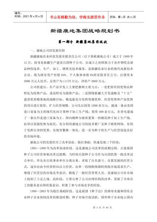 某集团战略规划书