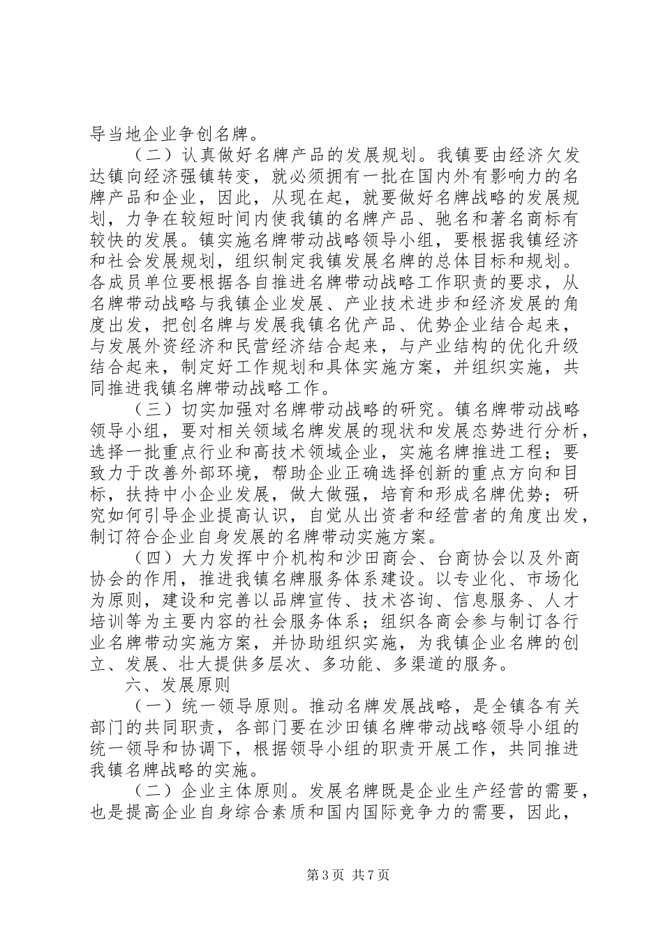 乡镇名牌带动战略实施方案_第3页