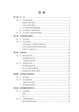 某集团项目调研报告(doc 63页)1