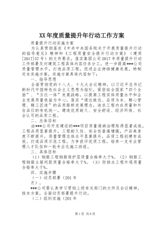 XX年度质量提升年行动工作实施方案 