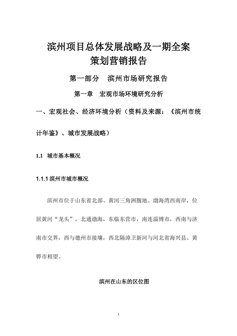 某项目总体发展战略及策划营销报告_第1页