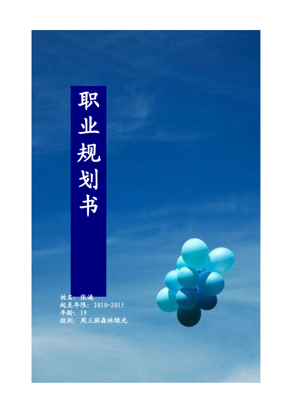 大学生职业规划设计模板_第1页