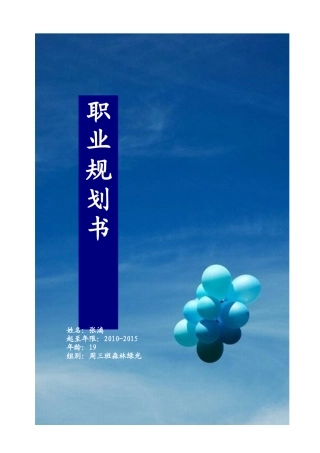 大学生职业规划设计模板