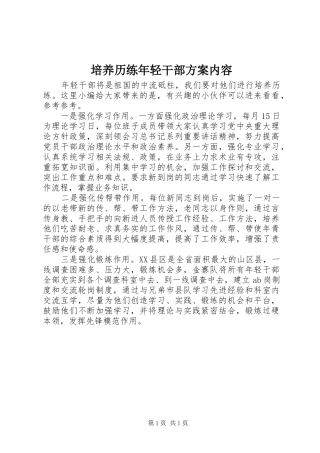 培养历练年轻干部方案内容