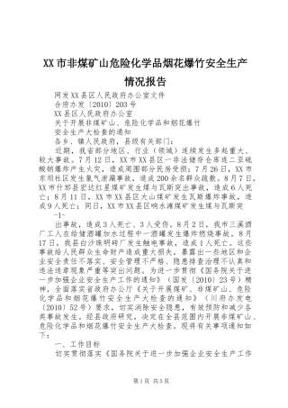 XX市非煤矿山危险化学品烟花爆竹安全生产情况报告 