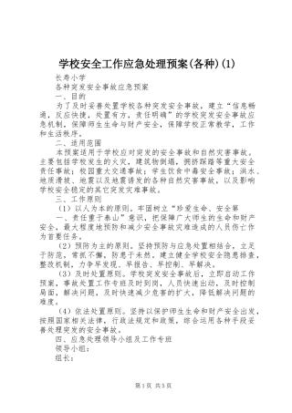 学校安全工作应急预案(各种)
