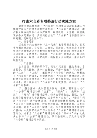 打击六合彩专项整治行动方案 