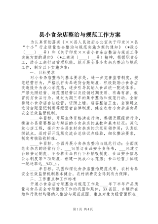 县小食杂店整治与规范工作方案