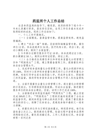 药监所个人工作总结