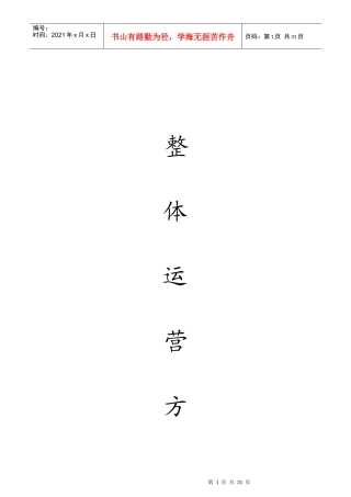 湖北万景公司整体运营方案最终版
