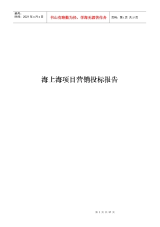 海上海项目营销投标报告