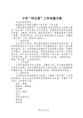 小学“回头看”工作方案 