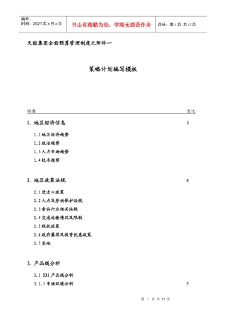 浙江天能集团全面预算管理制度之附件一策略计划编写模板