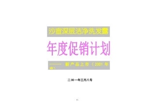 深层洁净洗发露年度促销计划