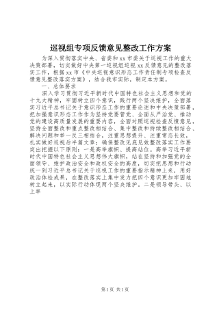 巡视组专项反馈意见整改工作方案