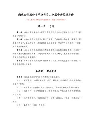 湖北某公司员工职层晋升管理办法