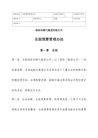 深圳某公司全面预算管理办法
