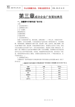 润豪牌牛仔裤年度广告计划