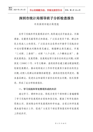 深圳市统计局领导班子分析检查报告