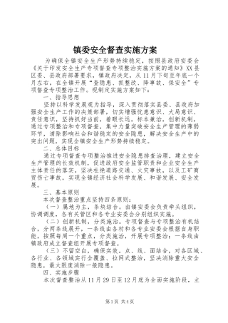 镇委安全督查实施方案