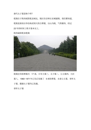 唐代太子墓是啥个样？