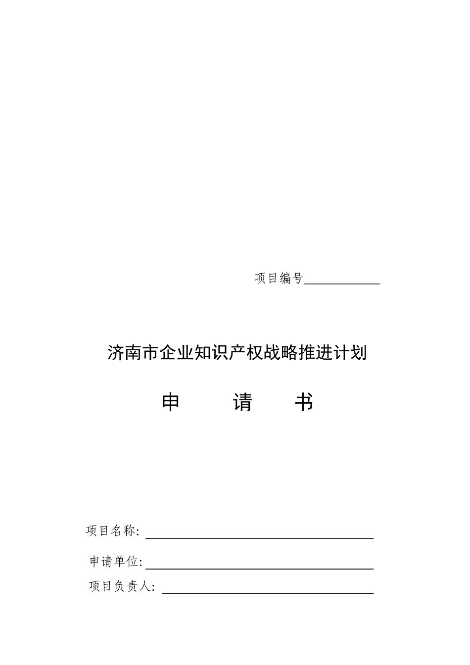 济南市企业知识产权战略推进计划申请书范本_第1页