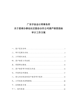 清产核资投标用审计工作方案