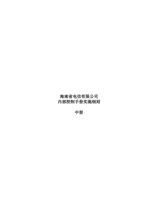 海南省电信公司内部控制手册