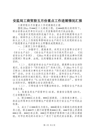 安监局工商贸股五月份重点工作进展情况汇报 