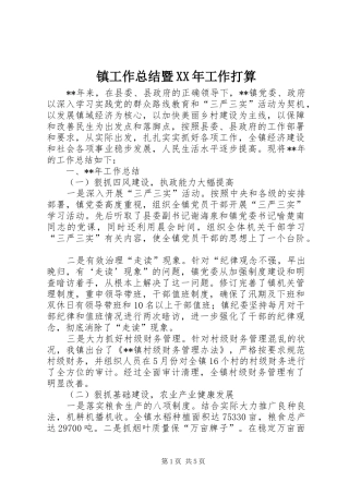 镇工作总结暨XX年工作打算