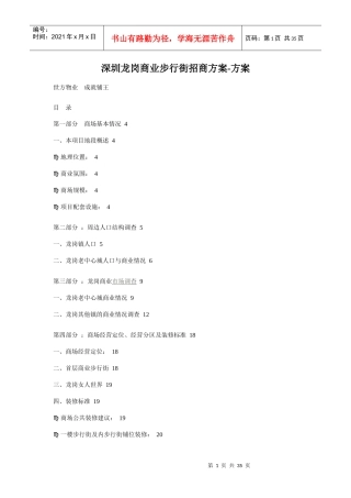 深圳龙岗商业步行街招商方案-方案