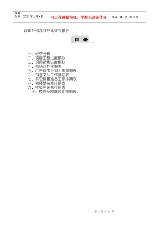 深圳外销项目经典策划报告