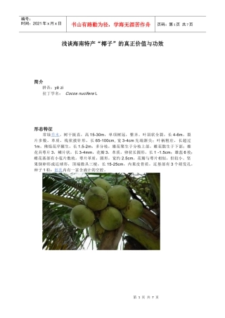 浅谈海南特产椰子的真正价值与功效